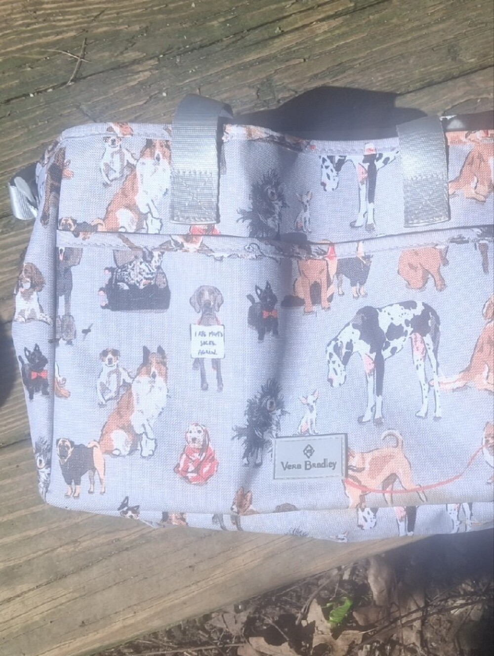 Vera Bradley Light Blue Kids Dog Print Bottoms Organizer